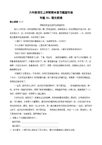 专题10：散文阅读-2023-2024学年 六年级语文上学期期末复习题型专练  解析版（统编版）