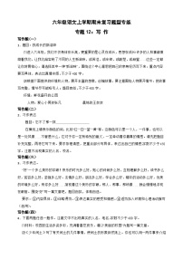 专题12：写作-2023-2024学年 六年级语文上学期期末复习题型专练  原卷版（统编版）