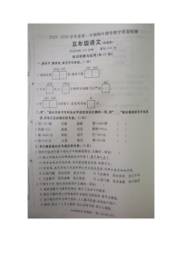 河北省廊坊市霸州市2023-2024学年五年级上学期期中考试语文试题