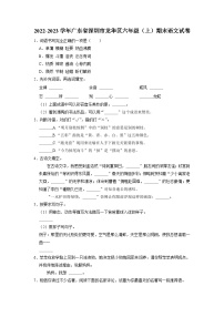 04、广东省深圳市龙华区2022-2023学年六年级上学期期末语文试卷（原卷版+答案与解释）