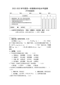 10、广东省韶关市新丰县2022-2023学年六年级上学期期末考试语文试题