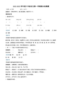 18、2022-2023学年广东省河源市东源县部编版六年级上册期末考试语文试卷（解析版）