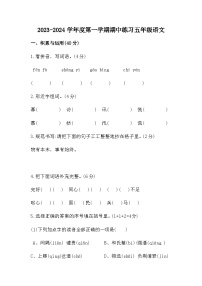 广东省江门市新会东区学校2023-2024学年五年级上学期中考试语文试题