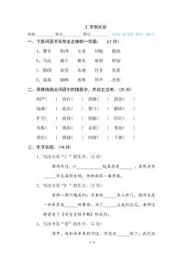 小学语文三年级下册专项训练卷（统编版）2 字形区分