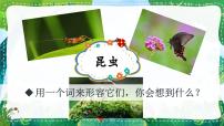 语文三年级下册昆虫备忘录完美版课件ppt