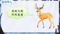 语文三年级下册鹿腿优秀课件ppt