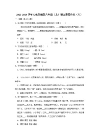 寒假作业（六）（作业）-六年级上册语文统编版（含答案）