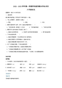 2022-2023学年广东省深圳市龙岗区宏扬学校等2校部编版六年级上册期末考试语文试卷（解析版）