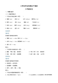 2022-2023学年江苏省连云港市灌云县部编版六年级上册期末考试语文试卷（解析版）