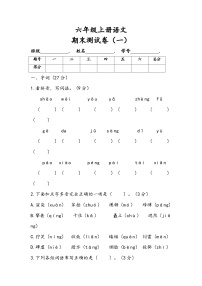 期末测试（试题）六年级上册语文统编版