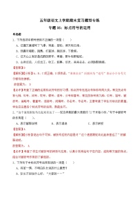 期末复习专练 专题06：标点符号的运用-2023-2024学年 五年级语文上学期期末复习题型专练  解析版（统编版）