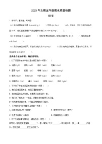 2022-2023学年湖南省邵阳市新邵县部编版五年级下册期末考试语文试卷