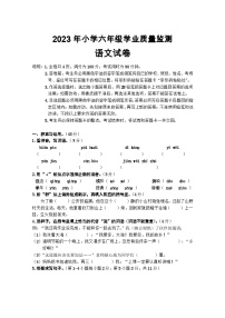 广东省汕尾市海丰县2022-2023学年六年级下学期质量检测（期末）语文试题