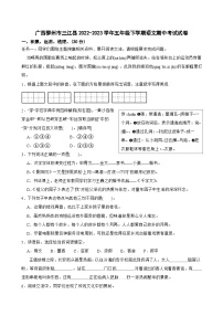 广西壮族自治区柳州市三江县2022-2023学年五年级下学期4月期中语文试题