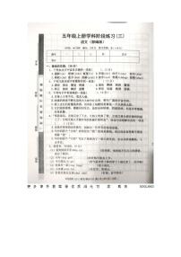 江西省宜春市丰城市2023-2024学年五年级上学期语文第三次月考试题
