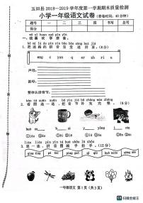 期末考试卷（试题）统编版语文一年级上册