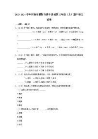 2023-2024学年河南省濮阳市清丰县城区三年级上学期期中语文试卷（含答案）