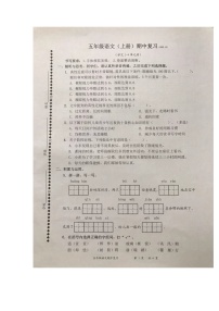 广东省深圳市罗湖区2023-2024学年五年级上学期期中检测语文试卷