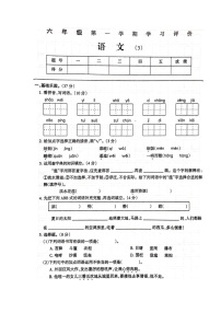 河南省周口市淮阳区2023-2024学年六年级上学期12月月考语文试题