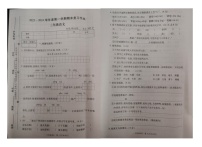 河南省漯河市临颍县2023-2024学年三年级上学期语文期末试卷