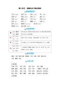 第八单元+期末高频考点与难点解析学案+2023-2024学年四年级语文上册（统编版）