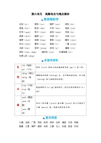 第六单元+期末高频考点与难点解析学案-2023-2024学年五年级语文上册（统编版）