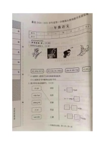 【真题】河北省保定市蠡县语文一年级上学期期末质量监测+2020-2021学年（部编版，图片版，无答案）