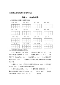 专题1：字音与词语-2023-2024学年六年级上册语文期末专项知识点（统编版）