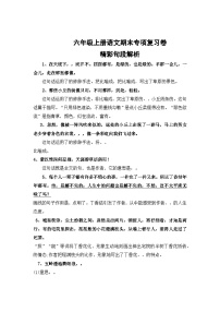 专题4：精彩句段解析-2023-2024学年六年级上册语文期末专项知识点（统编版）