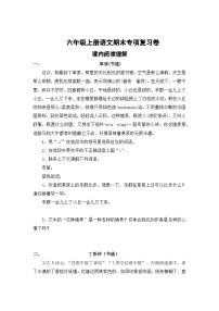 专题12：课内阅读理解-2023-2024学年六年级上册语文期末专项知识点（统编版）