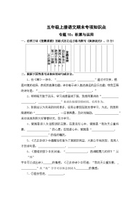 专题10：积累与运用-2023-2024学年五年级上册语文期末专项知识点（统编版）