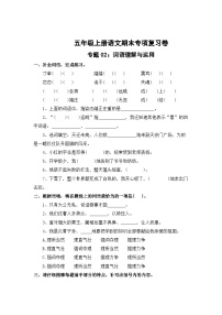 专题2：词语理解与运用-2023-2024学年五年级上册语文期末专项知识点（统编版）