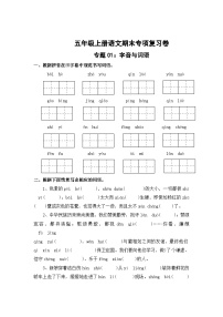 专题1：字音与词语-2023-2024学年五年级上册语文期末专项知识点（统编版）