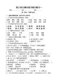 期末综合复习练习（试题）统编版语文四年级上册
