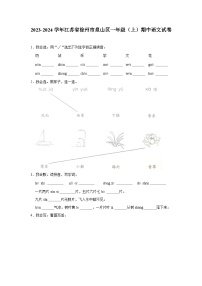 2023-2024学年江苏省徐州市泉山区一年级（上）期中语文试卷