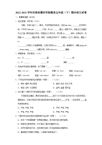 2022-2023学年河南省漯河市临颍县五年级下学期期末语文试卷（含答案）