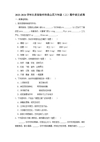 江苏省徐州市泉山区2023-2024学年六年级上学期期中语文试卷