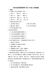 期末经典题型检测卷-语文六年级上册统编版