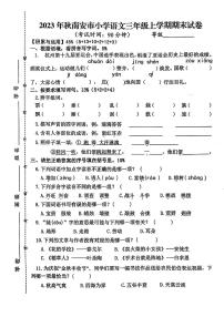 福建省泉州市南安市2023-2024学年三年级上学期期末语文试卷