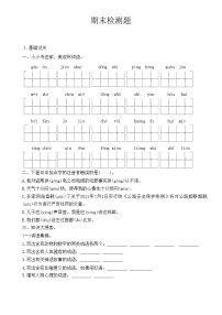 统编版五年级语文上册 期末检测题 （无答案）