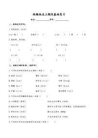 统编版五年级上册语文期末基础复习 （无答案）