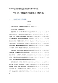 考点03：标题的作用（练习）（教师版）2024年小升初语文 记叙文阅读专讲专练