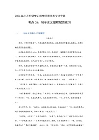 考点05：句子含义理解（练习）（教师版）2024年小升初语文 记叙文阅读专讲专练