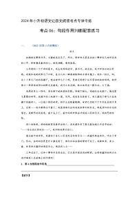 考点06：句段作用判断（练习）（教师版）2024年小升初语文 记叙文阅读专讲专练