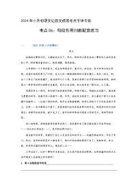 考点06：句段作用判断（练习）（学生版）2024年小升初语文 记叙文阅读专讲专练