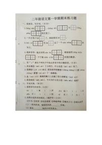 河北省廊坊市霸州市2023-2024学年二年级上学期1月期末语文试题