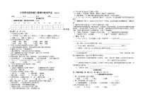 期中测试卷（试题）统编版语文四年级上册