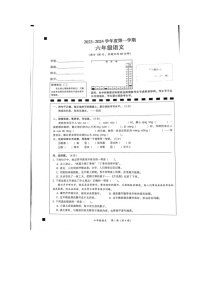 广东省韶关市2023-2024学年六年级上学期期末语文试卷