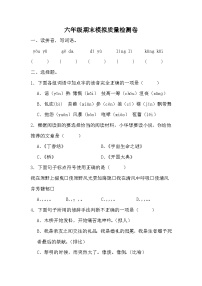 期末模拟质量检测卷（九）（试题）-2023-2024统编版语文六年级上册