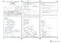 新疆维吾尔自治区巴音郭楞蒙古自治州2023-2024学年三年级上学期1月期末语文试题